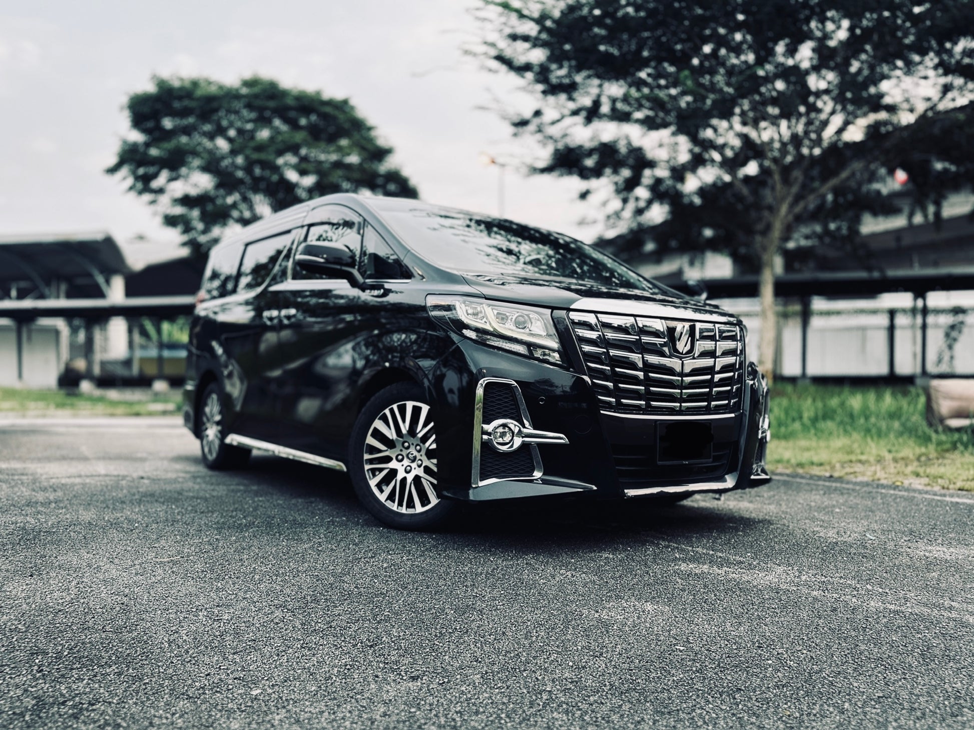Toyota Alphard AGH-30